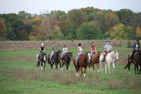 DSC_0664.jpg